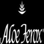 Aloe Ferox Randfontein