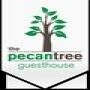 The Pecan Tree