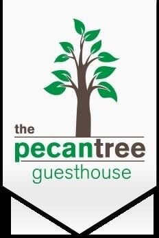 The Pecan Tree