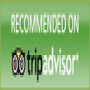 Wildlife Safaris