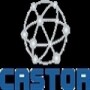 Castor Networks