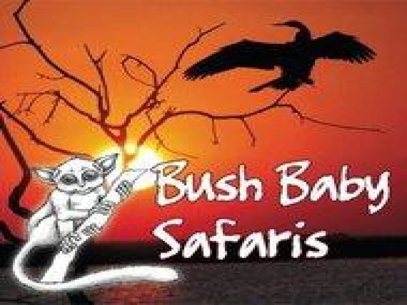 Bushbaby Safaris