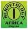Crickets For Africa (Herpetology Africa)