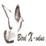 Birdx-Odus