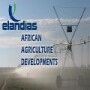 Elandias