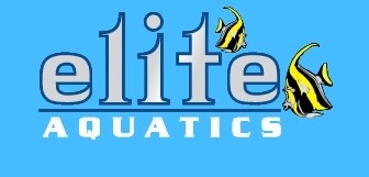 Elite Aquatics