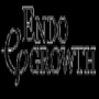 Endogrowth