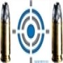 Ama Pro Force Firearm Training Centre Ladysmith