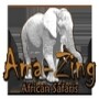 Ama-Zing African Safaris