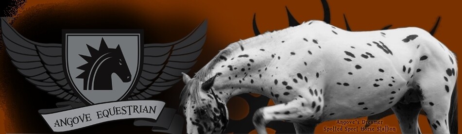 Angove Equestrian And Sport Horse Stud