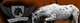Angove Equestrian And Sport Horse Stud