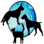 Animal Immigration Sa