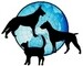 Animal Immigration Sa