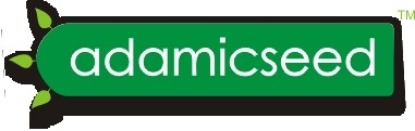Adamicseed Media