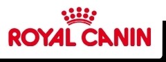 Four Paws Dog Training Club