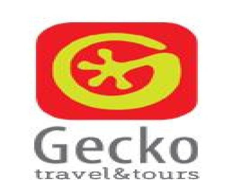 Gecko Tours
