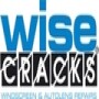 Wise Cracks