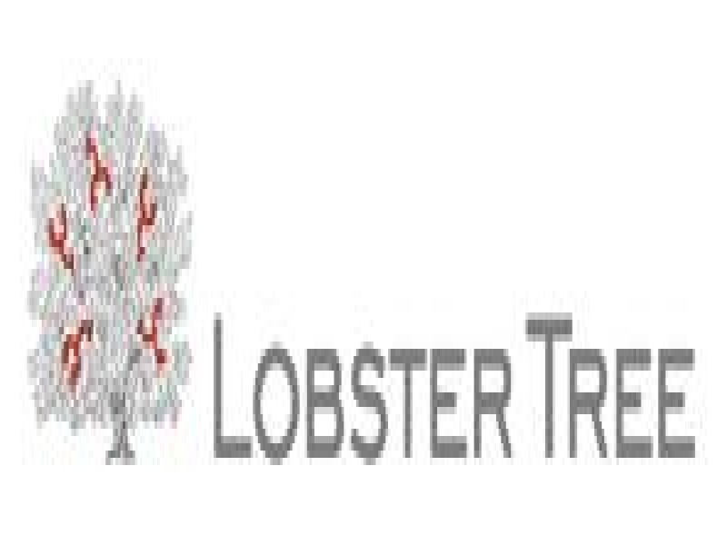 Lobster Tree