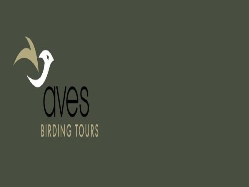 Aves Birding Tours