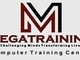 Megatraining