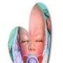 Pat-A-Cake Babies Reborn Dolls