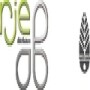 Rje Distributors.Co.Za