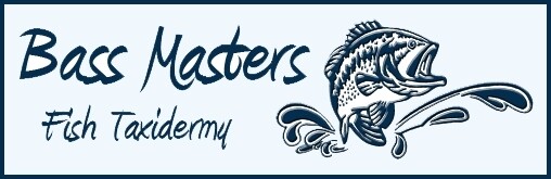 Bass Masters Fish Taxidermy