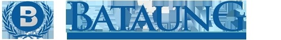 Bataung Insurance Brokers