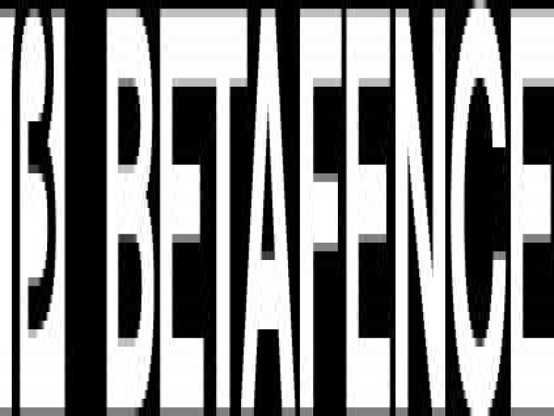 Betafence Fencing Systems South Africa