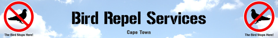 Bird Control Cape Town (Bird Repel Services)