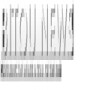 Bitou News