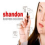 Shandon Business Solutions