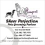 Sheer Perfection Pets Grooming Parlour