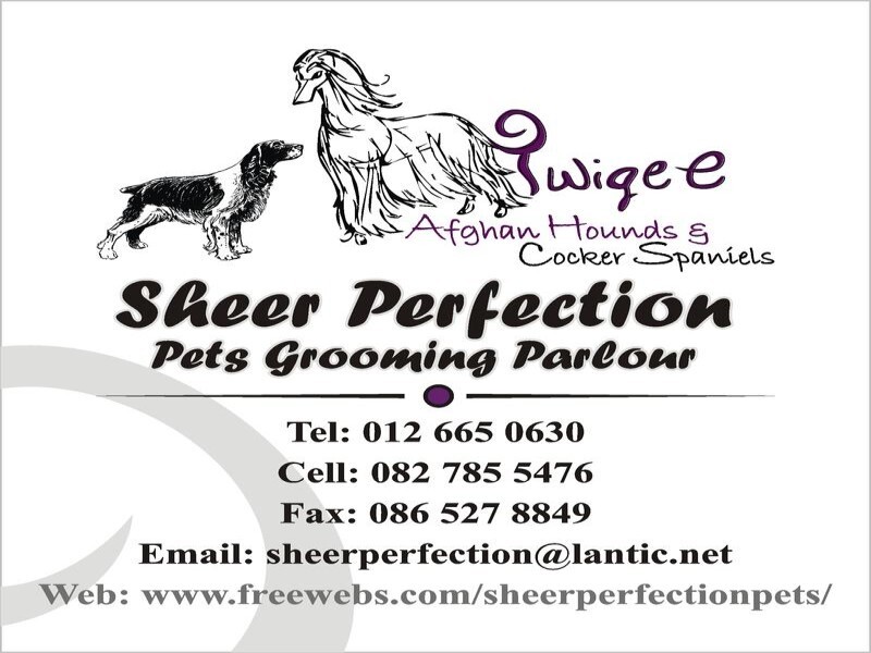 Sheer Perfection Pets Grooming Parlour