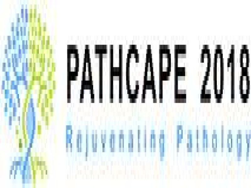 Sa Sports And Health Orginization
