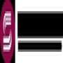 Steinhoff International