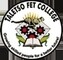 Taletso Fet College