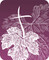 True Vine Ministries
