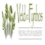 Veld And Fynbos Propagation Nursery