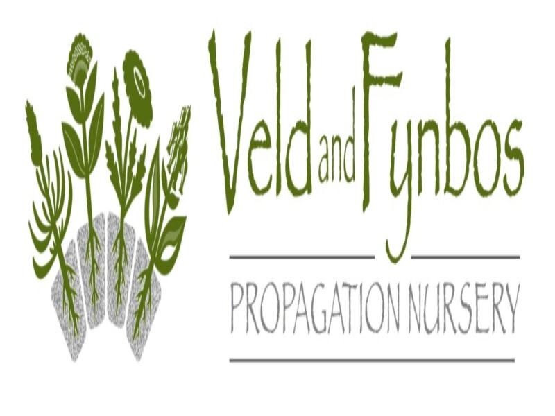 Veld And Fynbos Propagation Nursery
