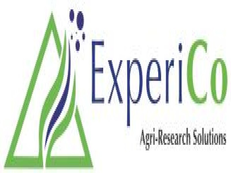 Experico