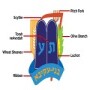 Bnei