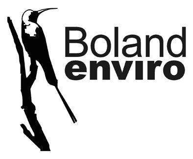 Bolandenviro