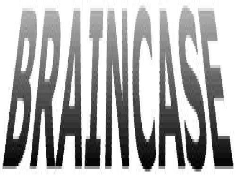 Braincase