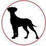 Goodpet