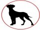 Goodpet