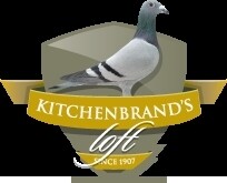 Kitchenbrand'S Loft South Africa For Racing Pigeons And Pigeon Products