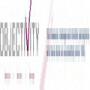 Objectivity