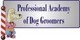 Professional Academy Of Dog Groomers