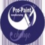 Pro Paint Manufacturing (Pty) Ltd